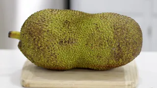 How to Eat Jackfruit | What does Jackfruit Taste like | Taste Test