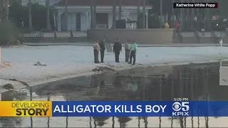 Crews Recover Body Of Toddler Snatched By Gator Near Disney World