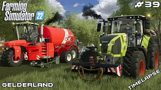 Harrowing FIELDS and spreading SLURRY | Animals on Gelderland | Farming Simulator 22 | Episode 39