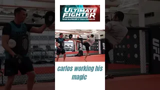 Carlos showing off some skills. #teammcgregor #mma #ufc #tuf31 #training #kickboxing