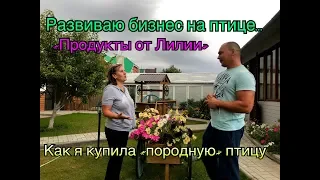 Бизнес на Птице. "Продукты от Лилии". Как я купила "породную" птицу.