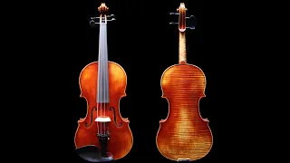 Proud Master LUO Handmade 4/4 Violin Guarneri del Gesu 1742 Lord Wilton Violin