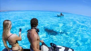 YBS Lifestyle Ep 4 - AMAZING CLEAR WATER | Hammerhead Shark Encounter | Chilli Crab Catch And Cook