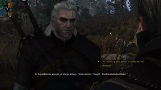 Moded The Witcher 3 Next Gen DX11 - GTX 1060 6GB + CORE I5-3570-720p