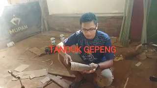 proses pembuatan tanduk menjadi kepingan pipih. untuk di gunakan string Siyah pada busur