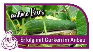 Gurken erfolgreich anbauen & richtig pflanzen | Online Kurs Teil 1