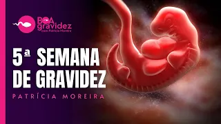 5 SEMANAS DE GRAVIDEZ - Gravidez Semana a Semana