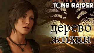 SHADOW OF THE TOMB RAIDER◇ОСНОВНЫЕ ГРОБНИЦЫ◇ДЕРЕВО ЖИЗНИ