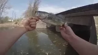 Bass Fishing "the lonesome chunker"