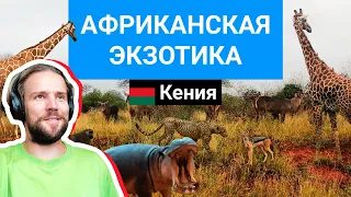 Африканская экзотика. Кения