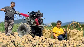 HARVESTING POTATOES IN THE VILLAGE! DOZENS OF RECIPES WITH POTATO! COOKING BEST VEGAN MEALS