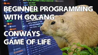 Beginner Programming with Golang - Conways Game of Life