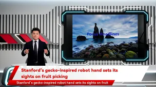 Stanford’s gecko-inspired robot hand sets its sights on fruit picking