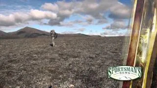 Renfro's Alaskan Adventure 2011 Brown Bear part 1