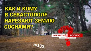 Как и кому в Севастополе нарезают землю с соснами? Открытый вопрос 153