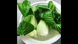 Готовлю Пак-Чой или Pak Choi,Bok choy, Бок-Чой). Продукты дёшево или даже бесплатно!!