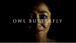 Owl Butterfly Trailer