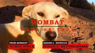 Tour nach Westafrika - Western Sahara - S2E08