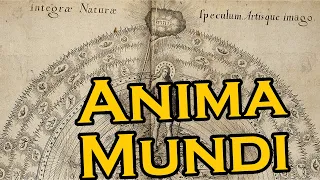 What is Anima Mundi? Meaning, definition, and explanation