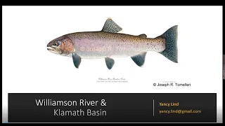 Fly Fishing the Williamson River and Klamath Basin