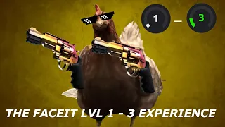 The CSGO FACEIT Level 1-3 Experience