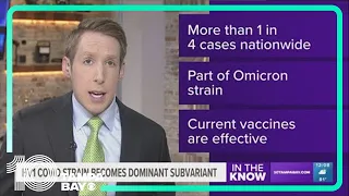 HV1 COVID strain becomes dominant subvariant