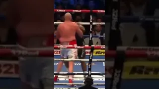 Tyson Fury vs Dillian Whyte Knockout #boxing #boks