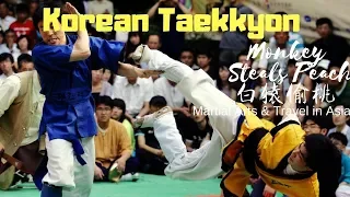 Taekkyon Competition- Korea’s Native Martial Art