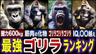 【最強生物】ゴリラがヤバすぎる…最強のゴリラランキングTOP５【ゆっくり解説】