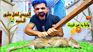 اكل الطيور وجارد بل مباشر 😡مخلوقات غريبه طلعت عدنه 😳