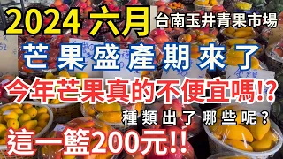 2024最新六月芒果盛產期來了 #台南玉井青果市場 今年芒果真的不便宜嗎!? 種類出了哪些呢? 這一籃200元/帶你來看看吧 #eating #fruit #taiwan #tainan #玉井芒果