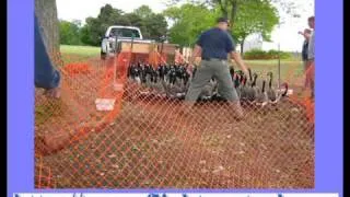 Apply Once and Geese are Gone with Flight Control Plus!