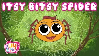 Itsy Bitsy Spider | Itsy Bitsy Spider Rhyme | Nursery Rhymes & Kids Songs | Bumcheek TV