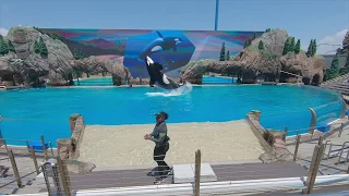 SeaWorld San Diego Orca Encounter Show - Full Show 4K