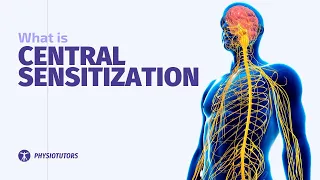 What is Central Sensitization? | Jo Nijs Explains