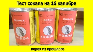 Тест патронов 16 калибра через хронограф на порохе сокол с ружей Зимсон и Иж 12