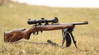 22 short accuracy in Ruger American Rimfire