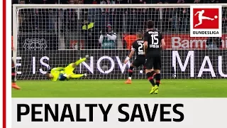Top 10 Penalty Saves 2016/17 - Stunning Saves from Fährmann, Adler,  Sommer & Co.