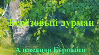 КЛИП "Берёзовый дурман" Александр Бурнацев