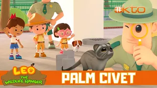 Helping The Cat-like Civet Find Its Mom! | Leo the Wildlife Ranger| Kids Video | @Mediacorp okto