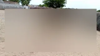 Donkeys love in desert thar. #viralvideo #villagelife