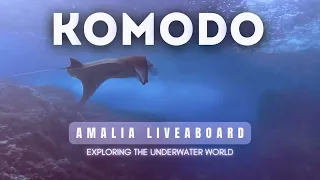 Indonesia Liveaboard - Amalia 02/04/2024 Diving in the Komodo islands