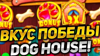 СТРИМ КАЗИНО | ОНЛАЙН КАЗИНО | DOG HOUSE!