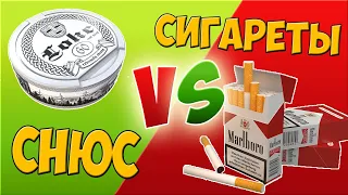 Что вреднее СНЮС vs СИГАРЕТЫ | Что такое снюс | Чем он вреден?