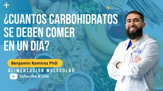 Cuantos carbohidratos debo comer por día