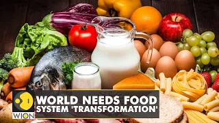 Research: Food is fundamental to tackle climate change | WION Climate Tracker | Latest English News