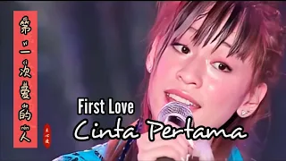 Di Yi Ci Ai De Ren   第一次爱的人 Cinta Pertama - First Love - Lagu Mandarin Subtitle Indonesia Terjemahan