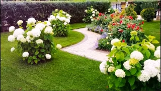 Ландшафтный дизайн Примеры творческих идей и украшений / Landscape design Examples of creative ideas