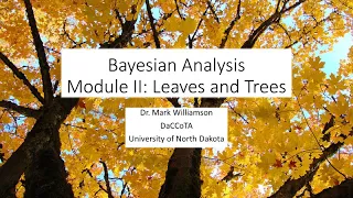 Bayesian Analysis Module II: Leaves and Trees