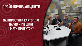 Як виростити картоплю на Чернігівщині і мати прибуток? | Праймвечір.Акценти